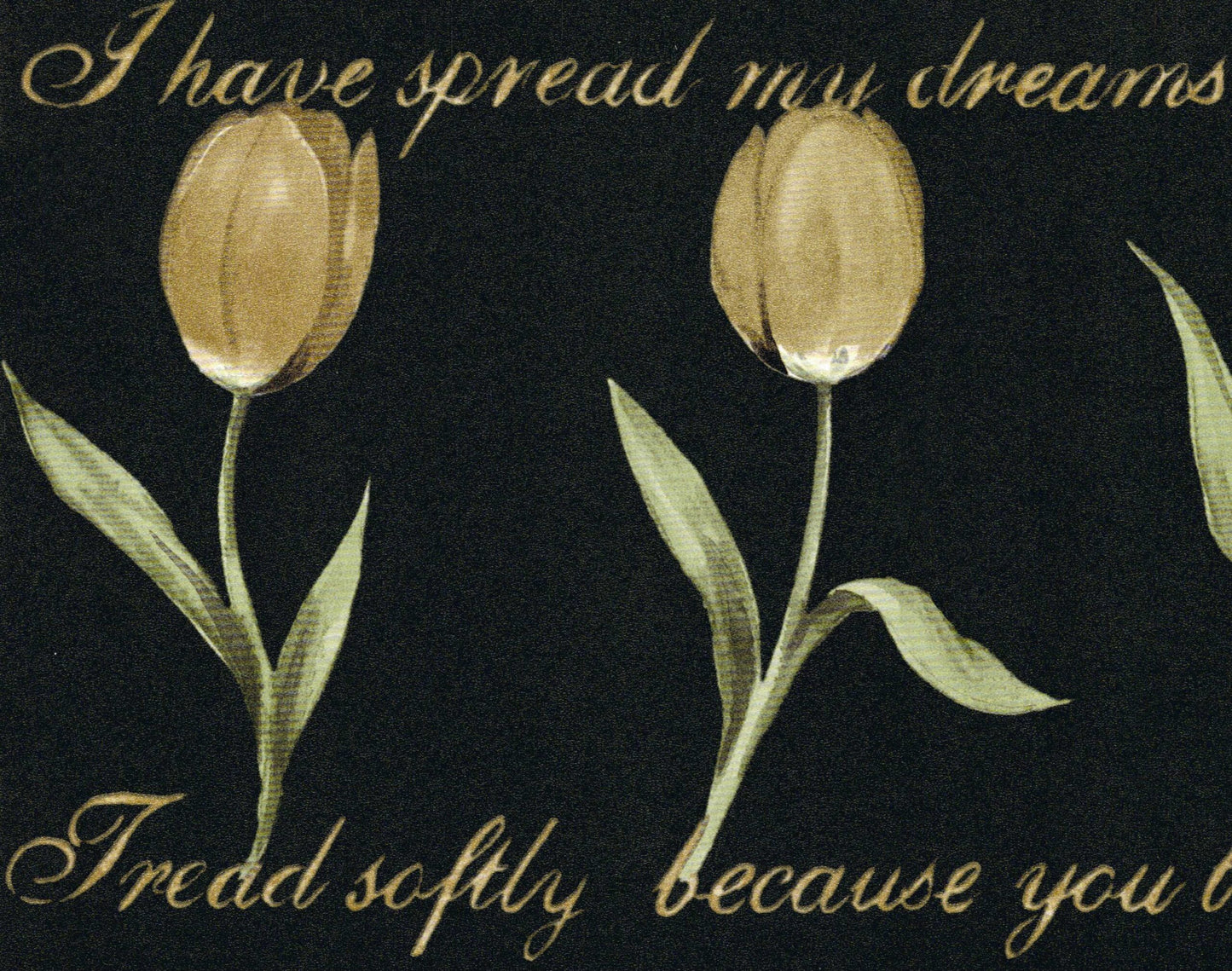 Prepasted Wallpaper Border - Floral Black, Pale Gold Poetry, Tulips Wall Border Retro Design, 15 ft x 9.5 in (4.57m x 24.13cm)