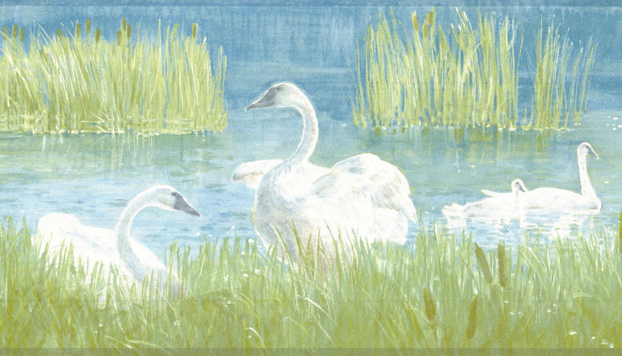 Prepasted Wallpaper Border - Nature White, Green, Blue Swans, Lake Wall Border Retro Design, 15 ft x 7 in (4.57m x 17.78cm)