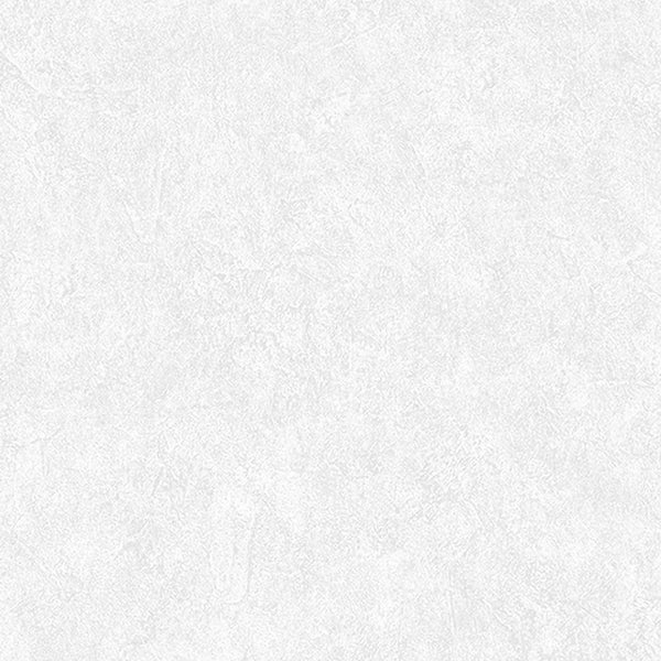 Textured Wallpaper Abstract|Plastered|Grunge in Light Grey