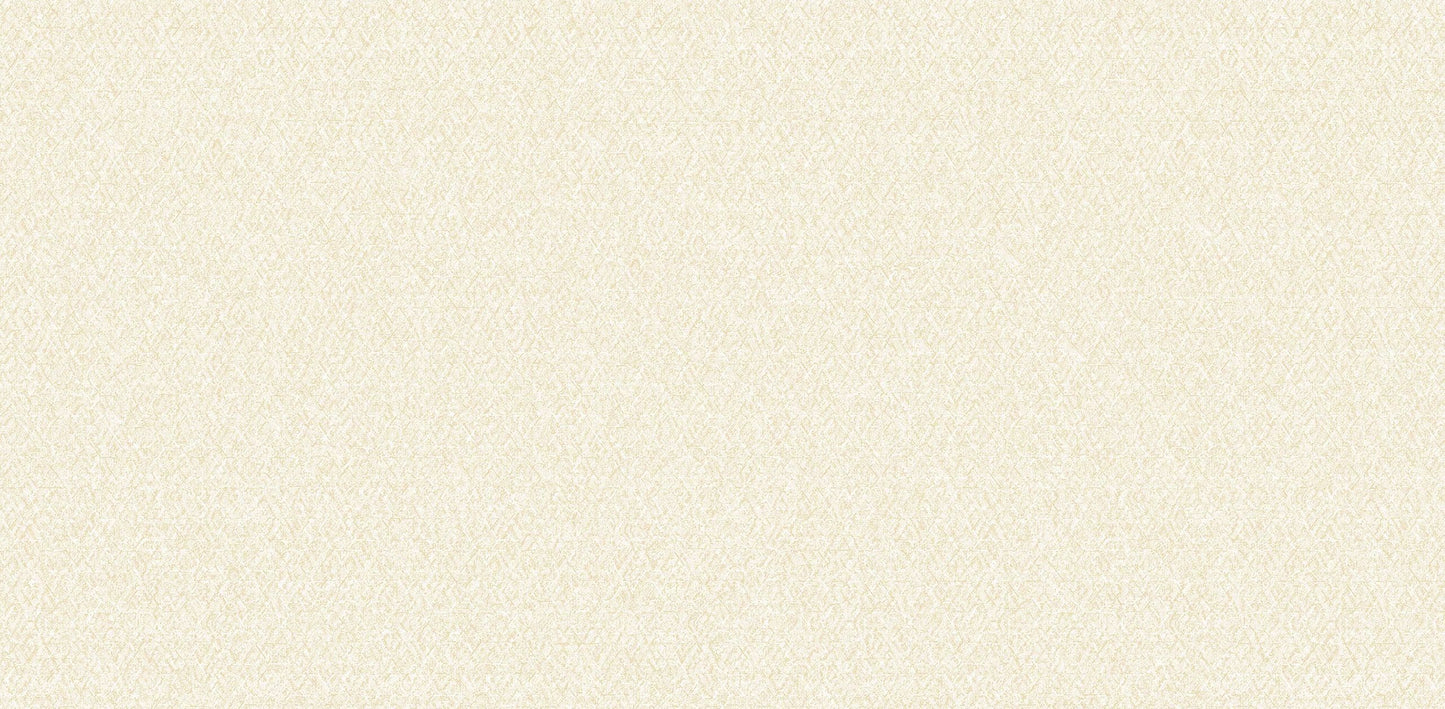 Textured Wallpaper Plastered|Grunge|Abstract in Beige