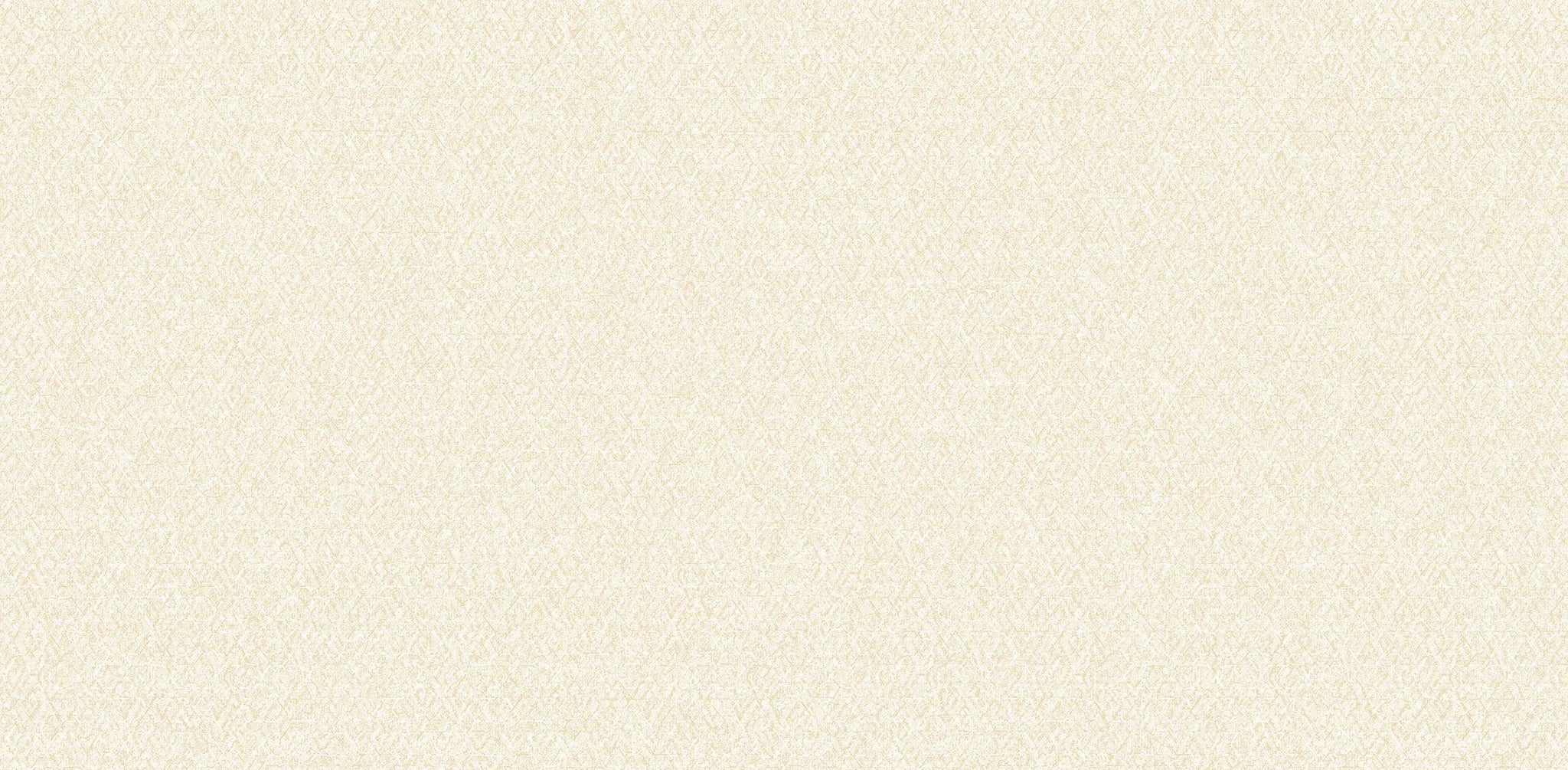 Textured Wallpaper Plastered|Grunge|Abstract in Beige