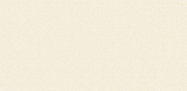 Textured Wallpaper Plastered|Grunge|Abstract in Beige