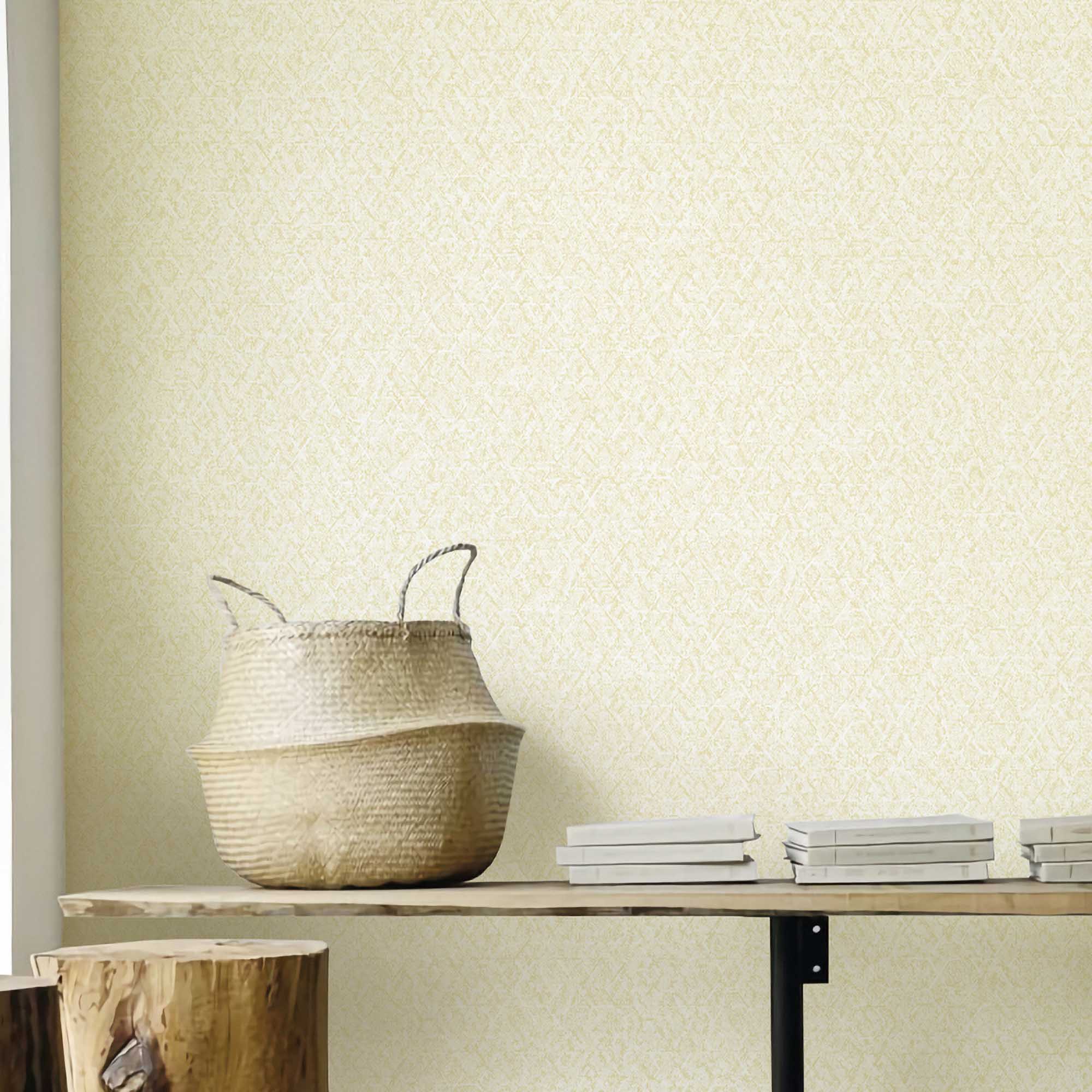 Textured Wallpaper Plastered|Grunge|Abstract in Beige
