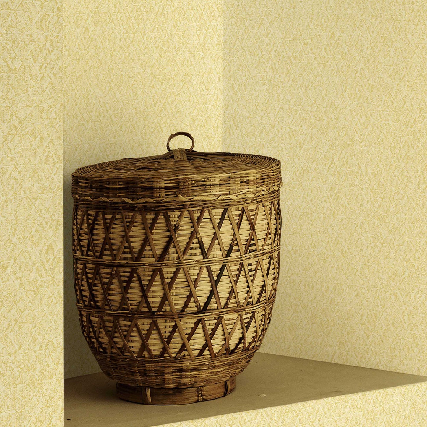 Textured Wallpaper Plastered|Grunge|Abstract in Yellow