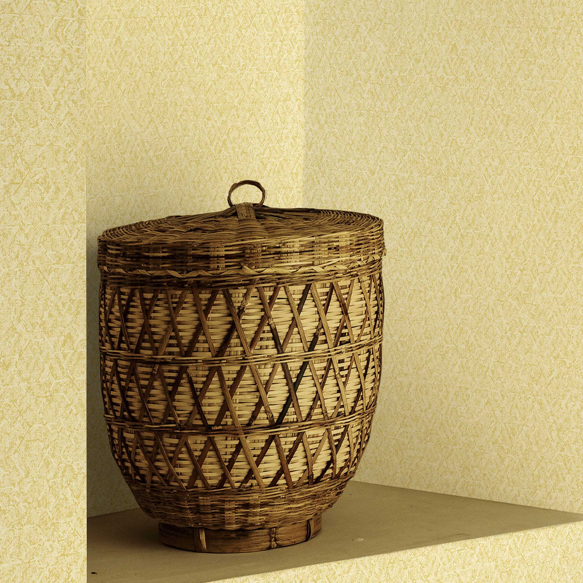 Textured Wallpaper Plastered|Grunge|Abstract in Yellow