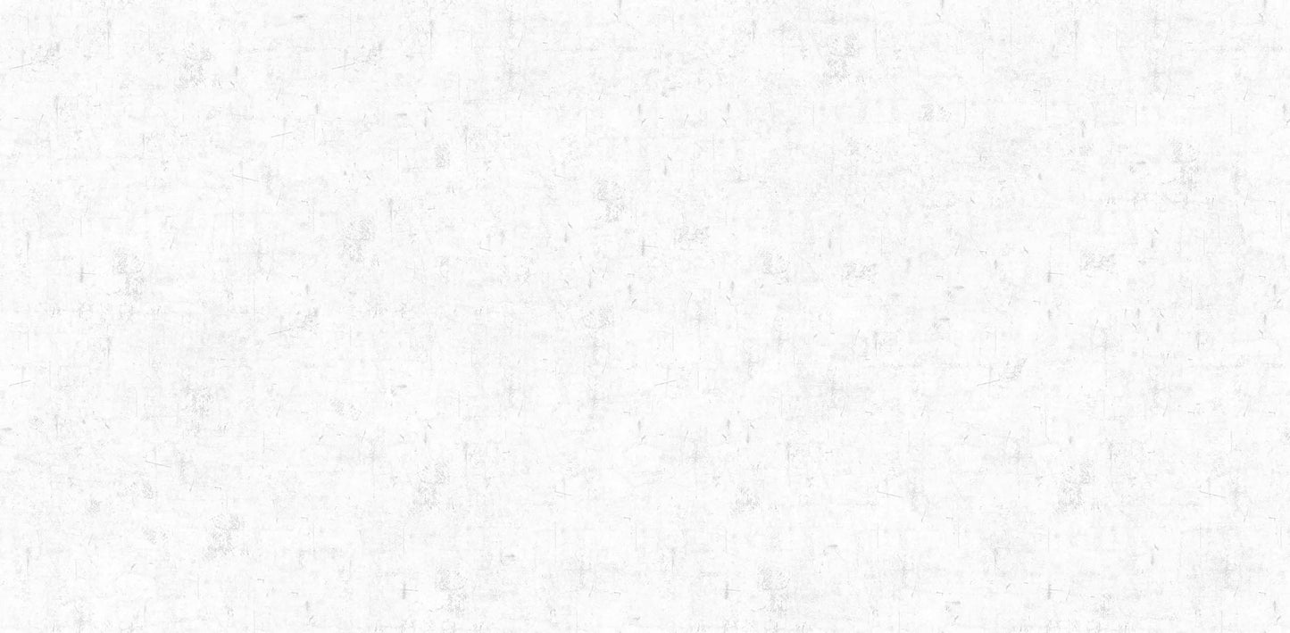 Textured Wallpaper Plastered|Grunge|Abstract in White