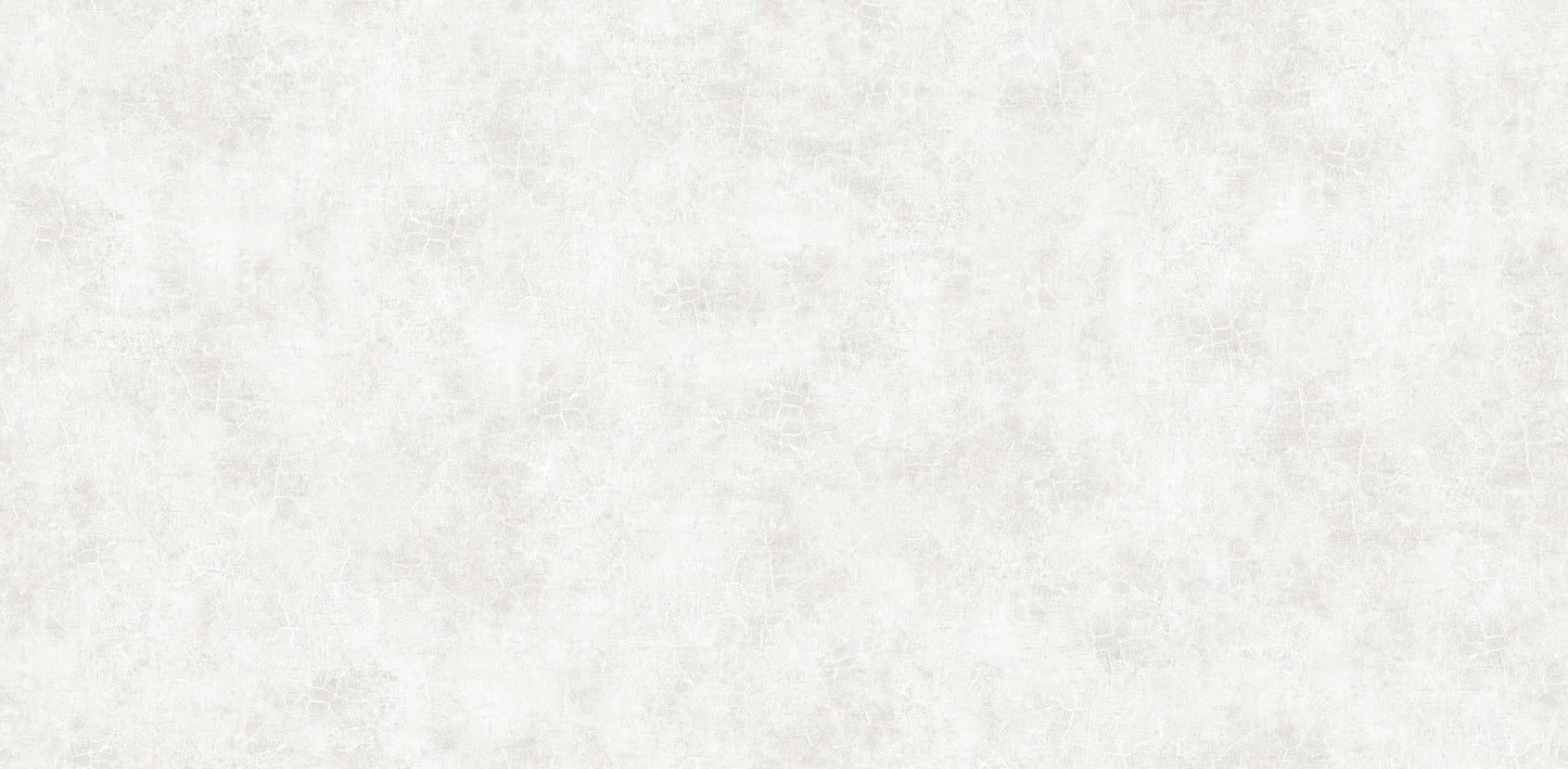 Textured Wallpaper Plastered|Grunge|Abstract in Light Grey