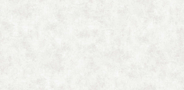 Textured Wallpaper Plastered|Grunge|Abstract in Light Grey