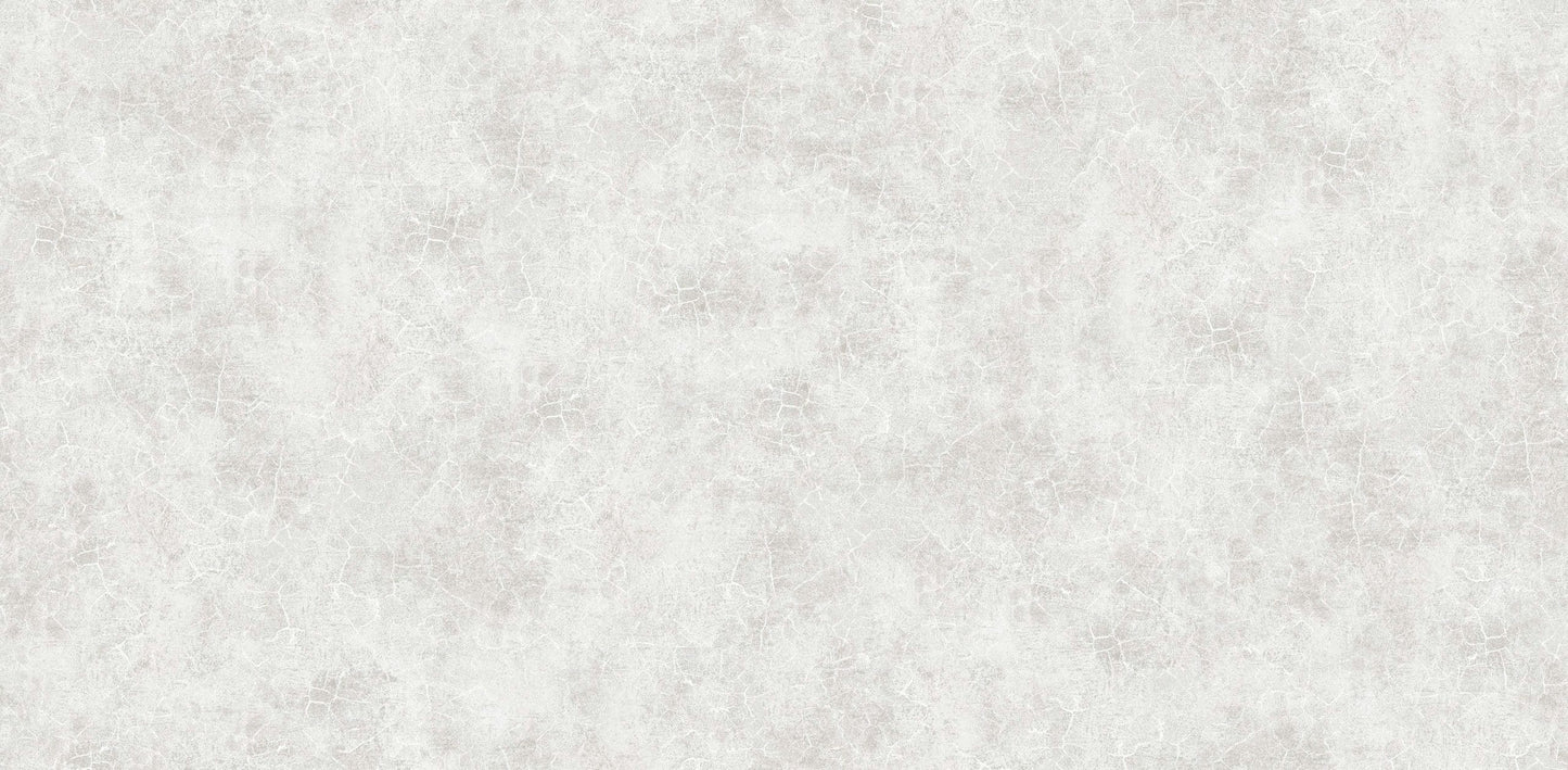 Textured Wallpaper Plastered|Grunge|Abstract in Grey