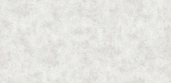 Textured Wallpaper Plastered|Grunge|Abstract in Grey