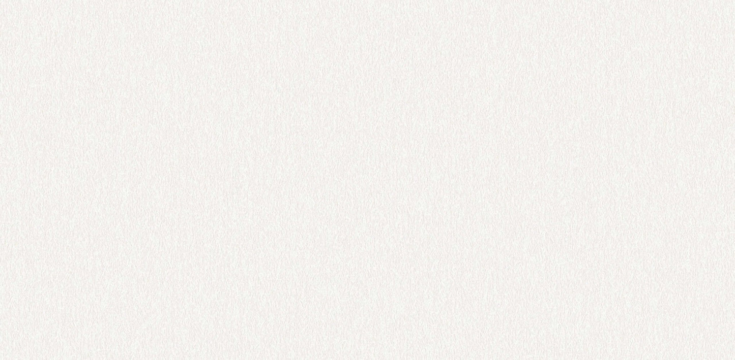 Textured Wallpaper Plastered|Grunge|Abstract in Ivory