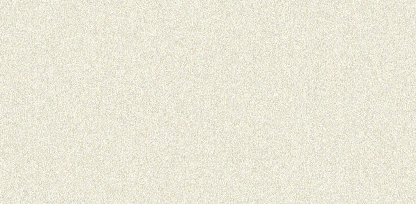 Textured Wallpaper Plastered|Grunge|Abstract in Beige