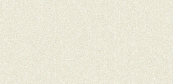 Textured Wallpaper Plastered|Grunge|Abstract in Beige