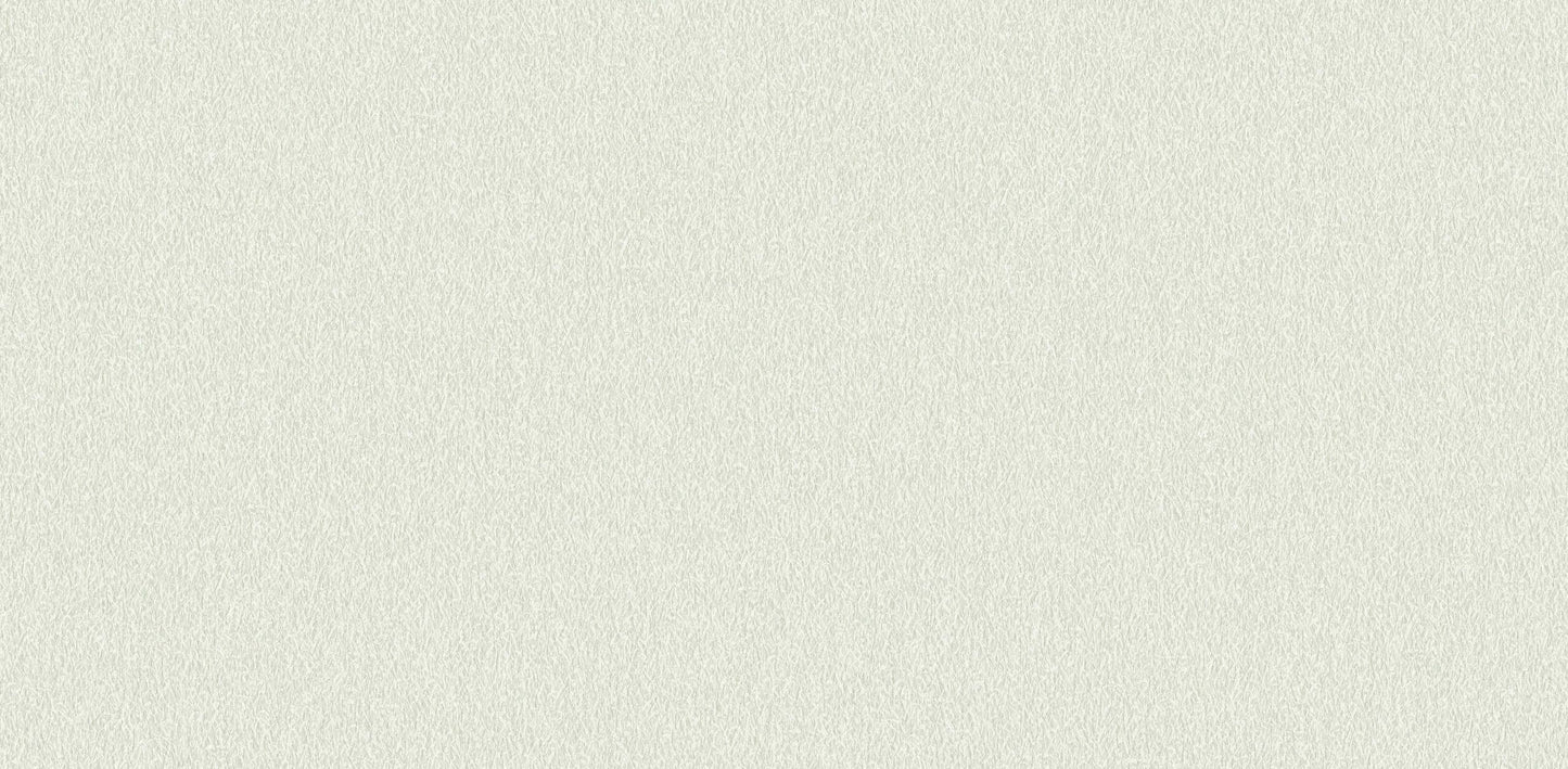 Textured Wallpaper Plastered|Grunge|Abstract in Light Green