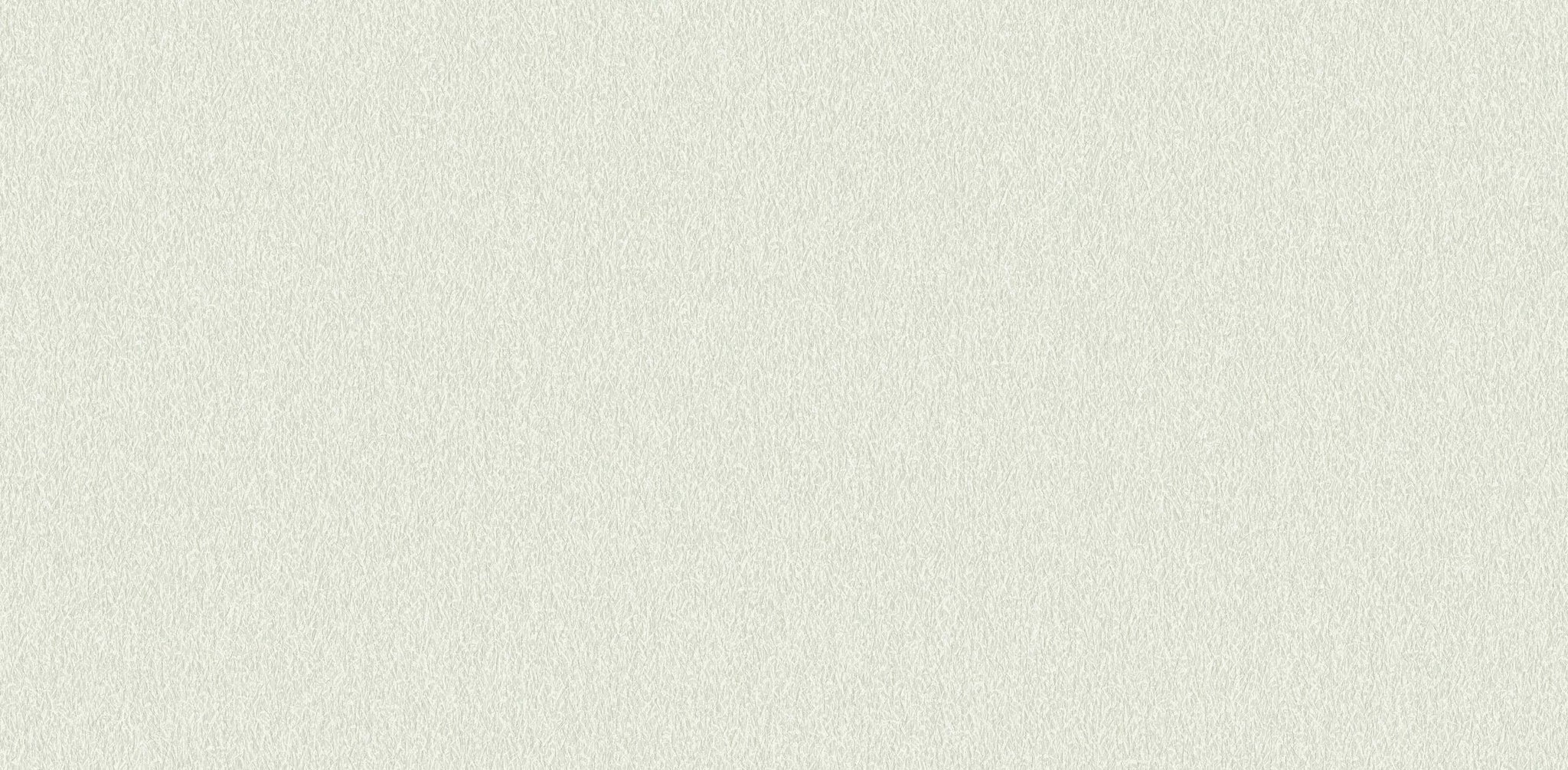 Textured Wallpaper Plastered|Grunge|Abstract in Light Green