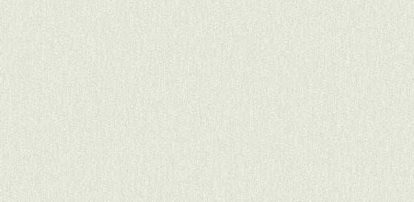 Textured Wallpaper Plastered|Grunge|Abstract in Light Green