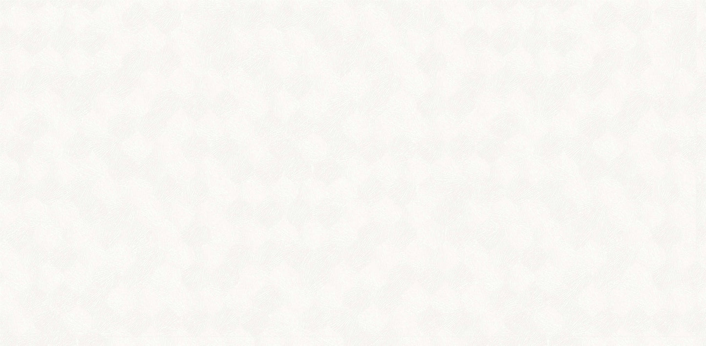 Textured Wallpaper Plastered|Grunge|Abstract in White