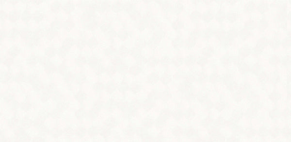 Textured Wallpaper Plastered|Grunge|Abstract in White