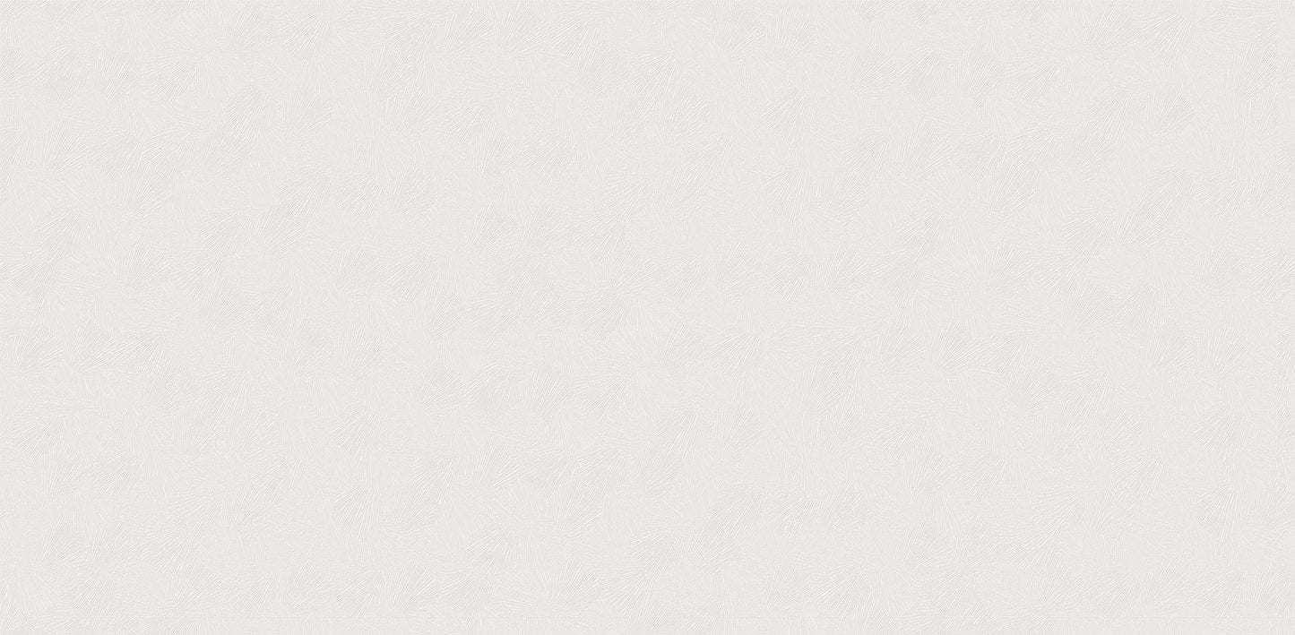 Textured Wallpaper Plastered|Grunge|Abstract in Beige