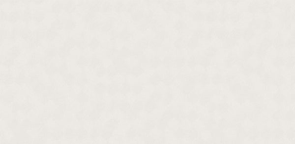 Textured Wallpaper Plastered|Grunge|Abstract in Beige