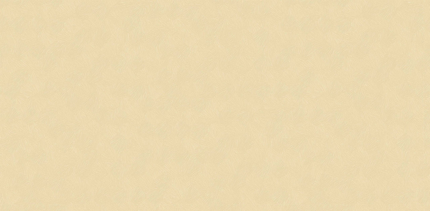 Textured Wallpaper Plastered|Grunge|Abstract in Gold