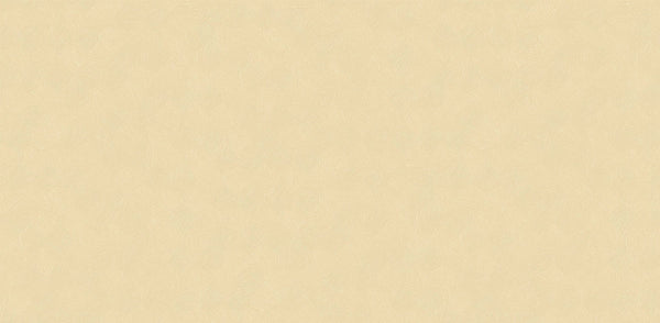 Textured Wallpaper Plastered|Grunge|Abstract in Gold