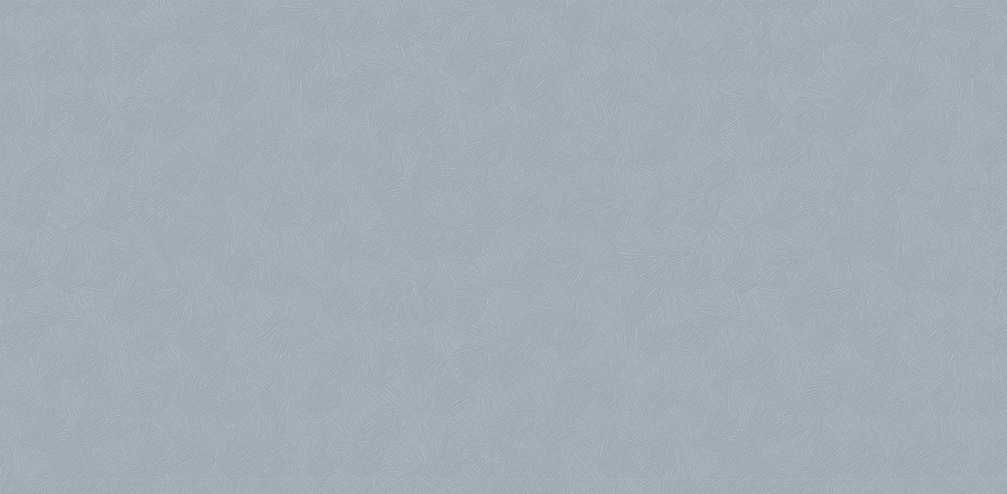 Textured Wallpaper Plastered|Grunge|Abstract in Grey