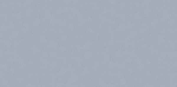 Textured Wallpaper Plastered|Grunge|Abstract in Grey