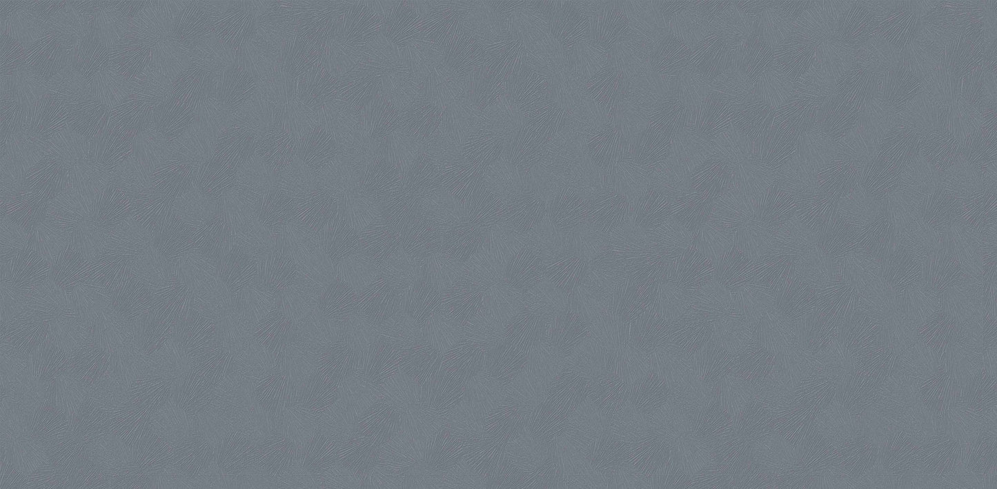 Textured Wallpaper Plastered|Grunge|Abstract in Charcoal|Grey