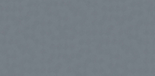 Textured Wallpaper Plastered|Grunge|Abstract in Charcoal|Grey