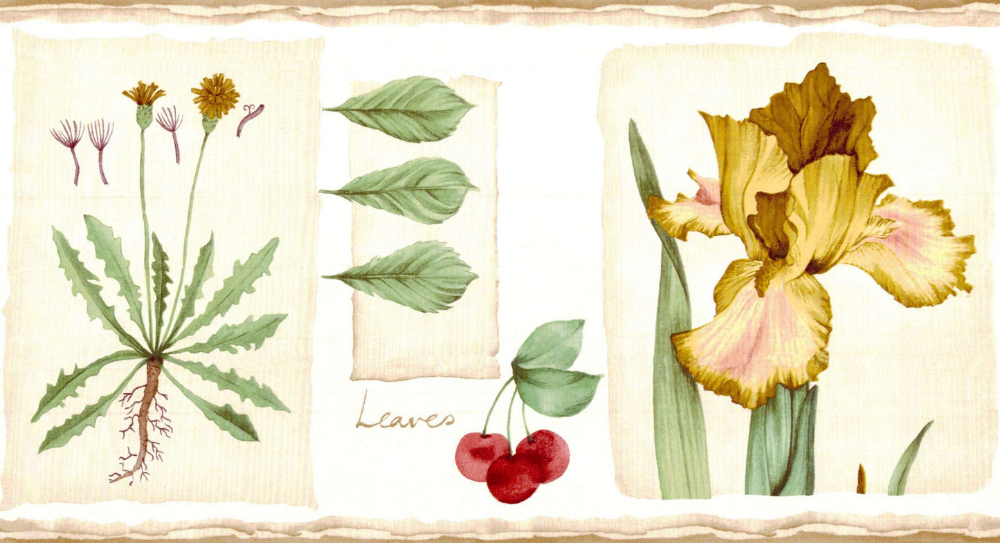 Prepasted Wallpaper Border - Floral Brown, Beige, Green, Red Peach, Cherry, Dandelion Wall Border Retro Design, 15 ft x 6.8 in (4.57m x 17.27cm)