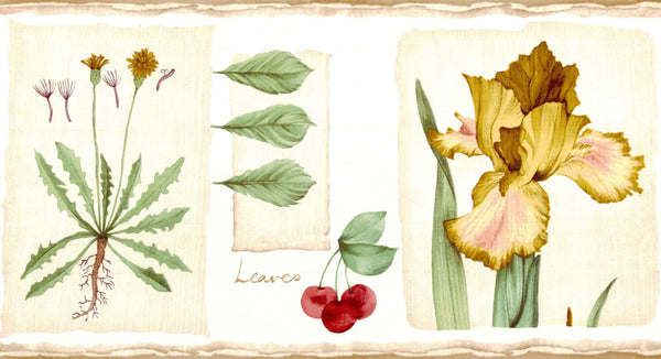 Prepasted Wallpaper Border - Floral Brown, Beige, Green, Red Peach, Cherry, Dandelion Wall Border Retro Design, 15 ft x 6.8 in (4.57m x 17.27cm)