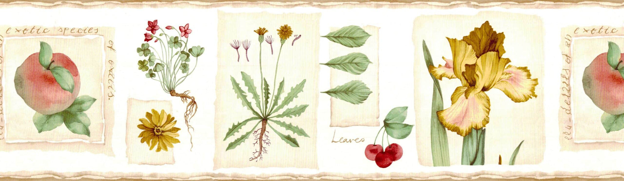 Prepasted Wallpaper Border - Floral Brown, Beige, Green, Red Peach, Cherry, Dandelion Wall Border Retro Design, 15 ft x 6.8 in (4.57m x 17.27cm)