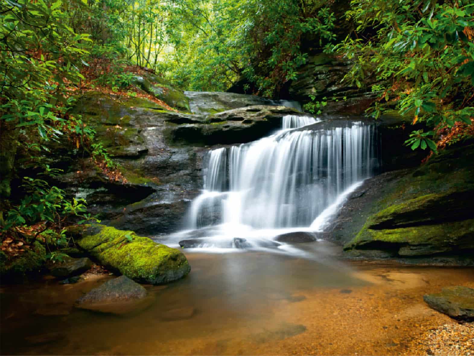 Waterfall in the Forest Brown Green Wall Mural 142 in x 106 in