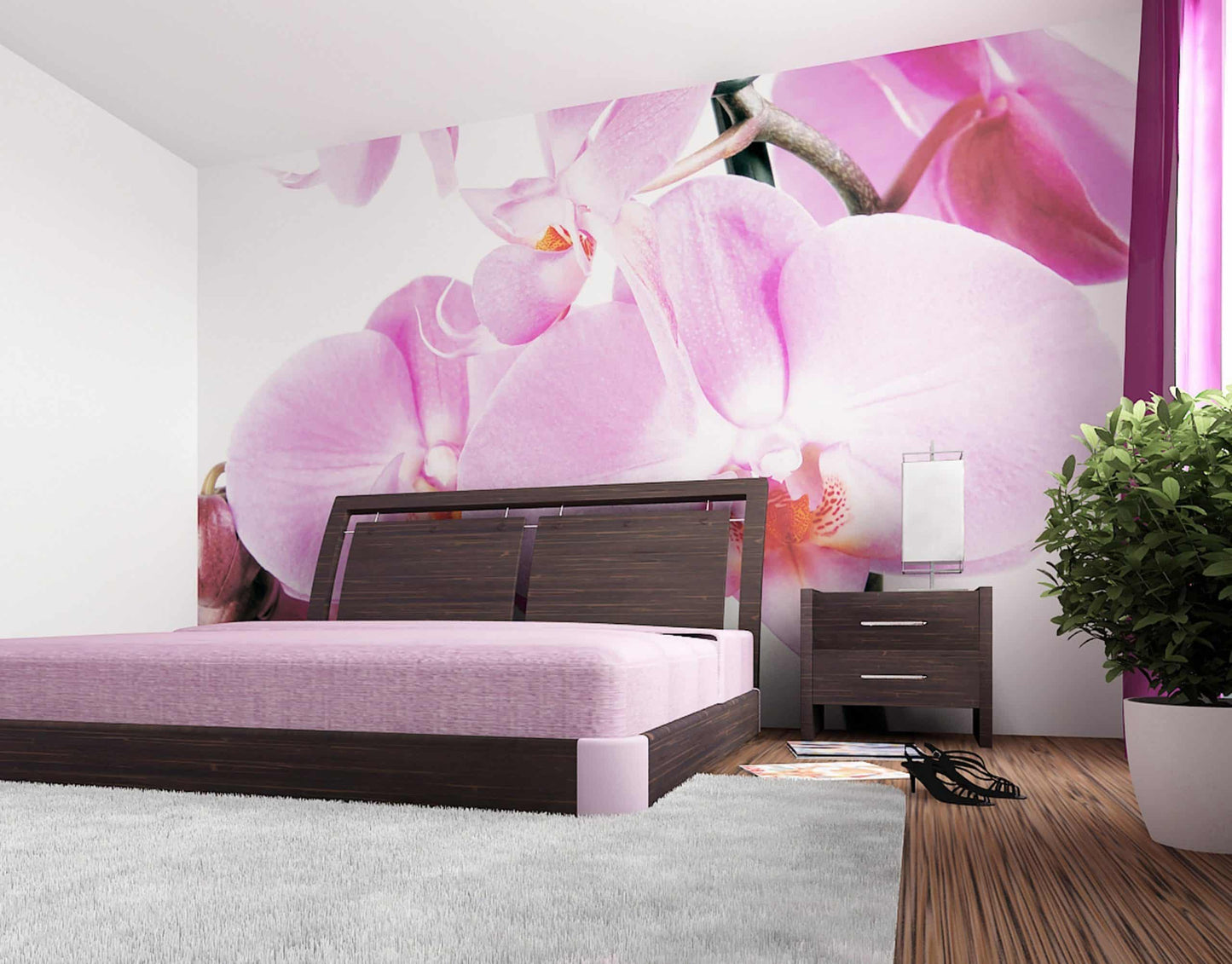 wall murals