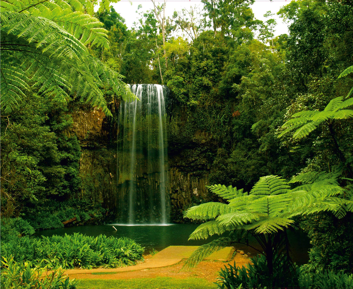 Waterfall in the Forest Green Yellow Wall Mural 142 in x 106 in