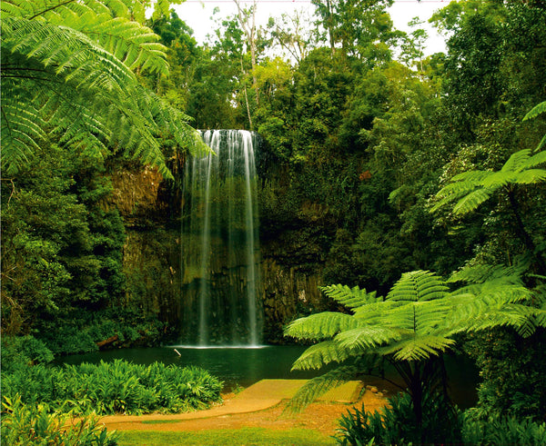 Waterfall in the Forest Green Yellow Wall Mural 142 in x 106 in