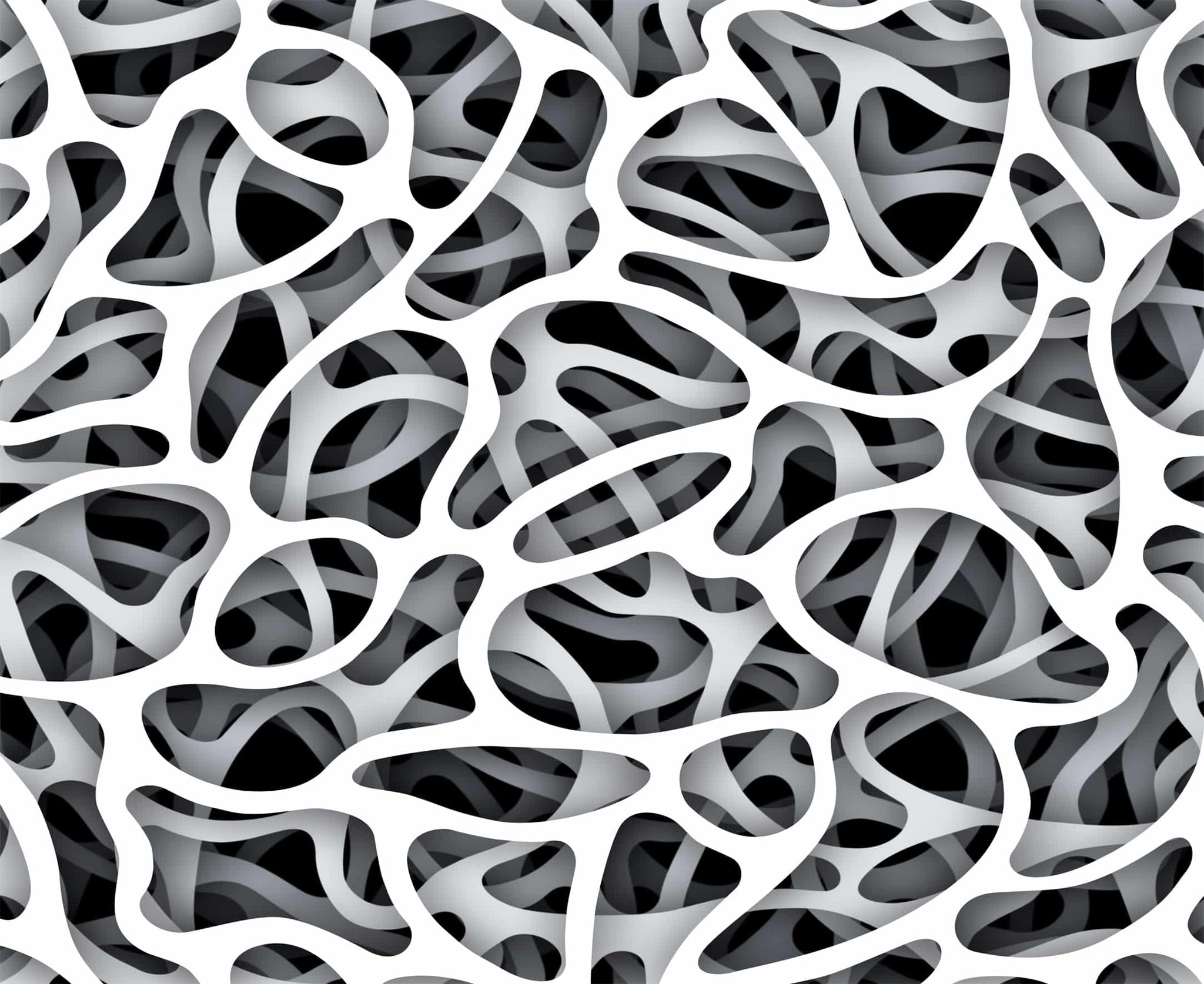 Organic Network Black White Wall Mural 142 in x 106 in