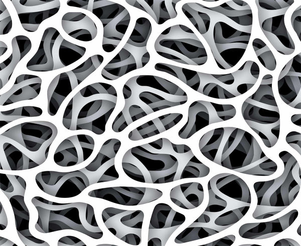 Organic Network Black White Wall Mural 142 in x 106 in