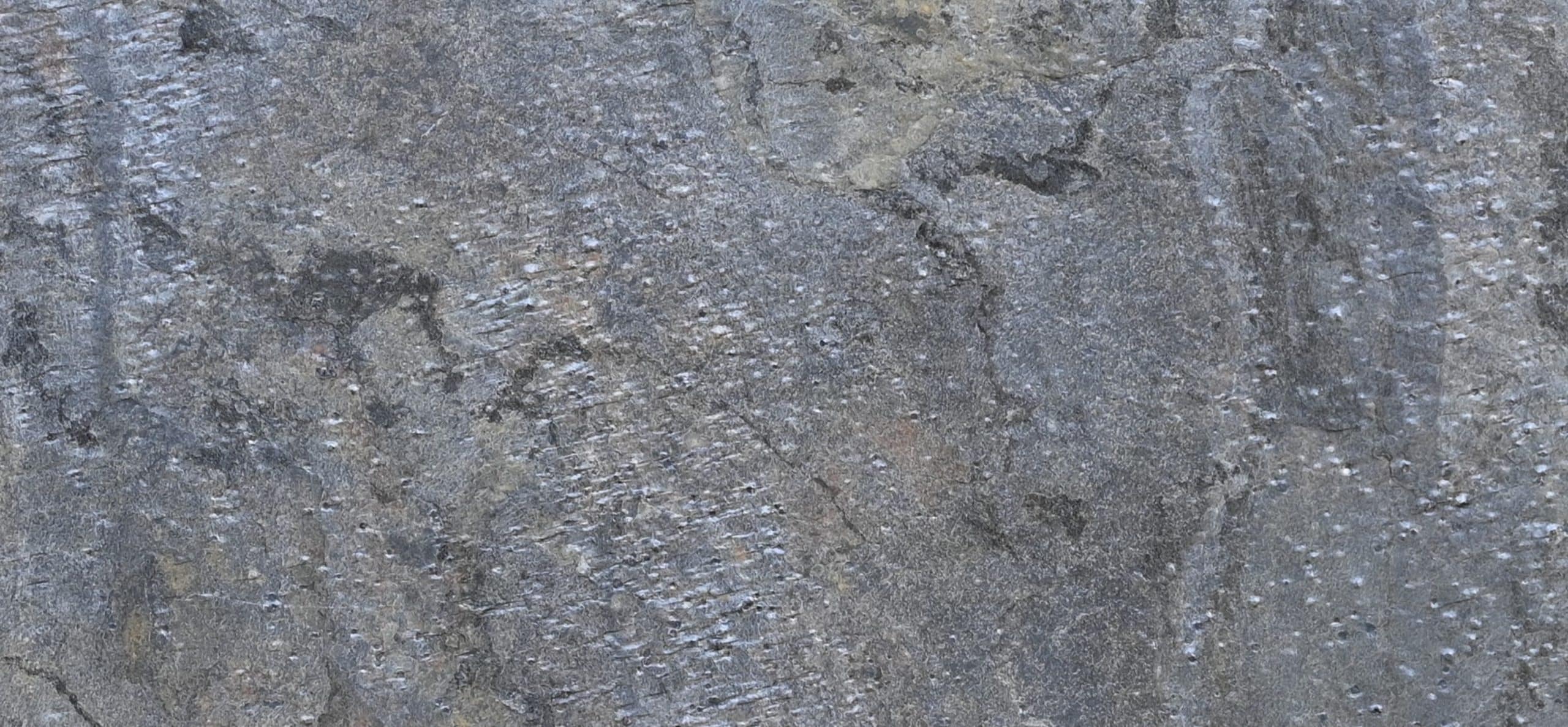 STONE  ネイビークルーネックス ウェット Tokio Nubuck Leather in Color Stone Blue | BIRKENSTOCK US