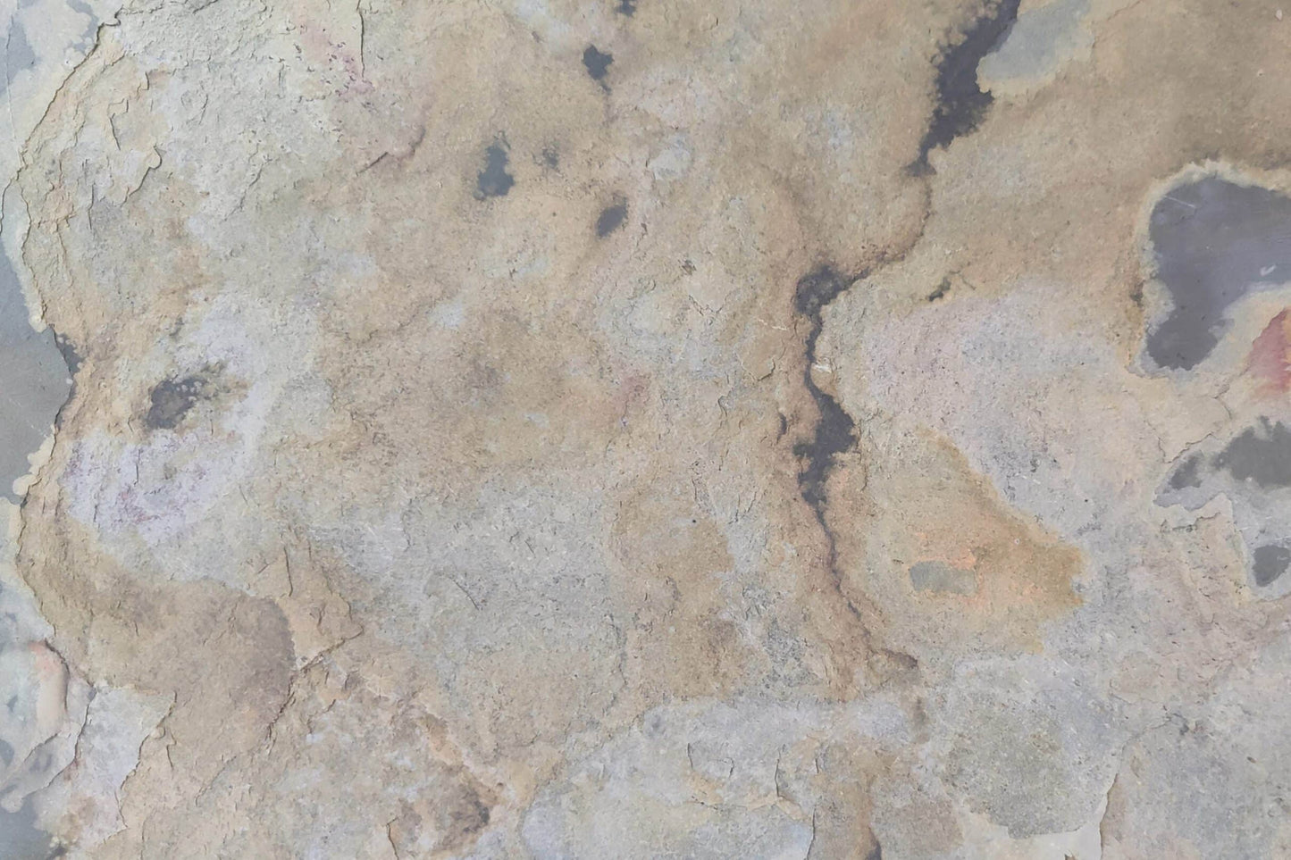 Stone Veneer Wall Panels Extra-Large