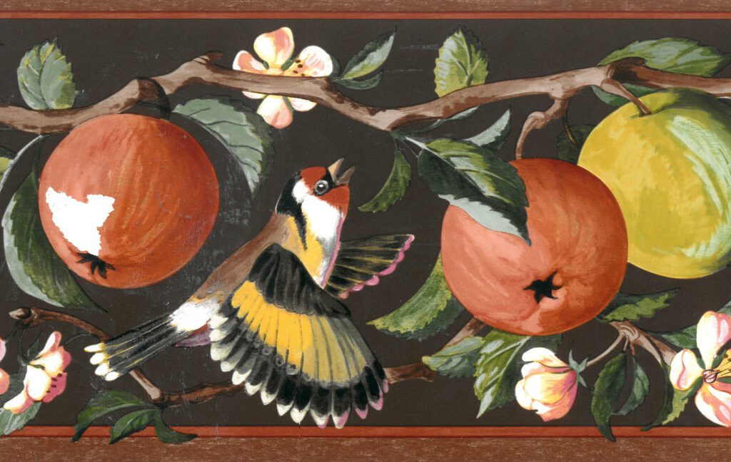 Prepasted Wallpaper Border – Floral Brown, Pink, Green Apples on Vine, Birds Wall Border Retro Design, 15 ft x 6.89 in (4.57m x 17.5cm)