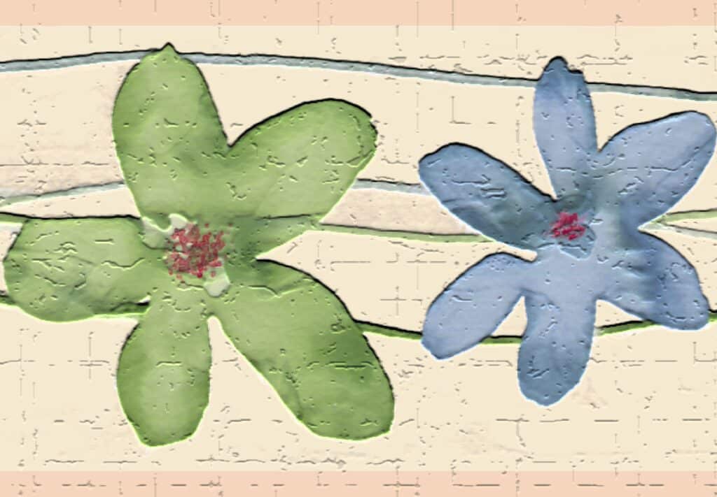 Peel and Stick Wallpaper Border – Kids Green, Blue Flowers Wall Border Retro Design, 15 ft x 7 in (4.57m x 17.78cm), Self Adhesive