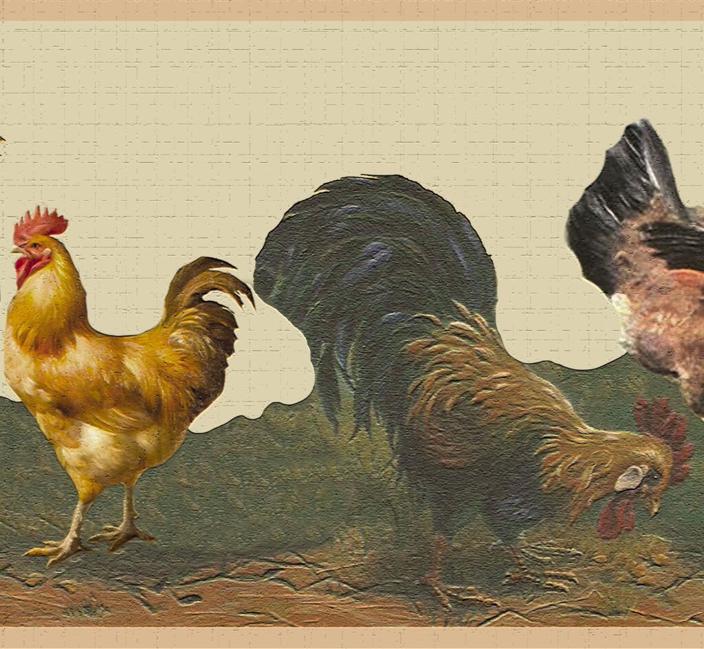 Peel and Stick Wallpaper Border – Country Brown, Yellow, Beige Rooster, Hen Wall Border Retro Design, 15 ft x 7 in (4.57m x 17.78cm), Self Adhesive