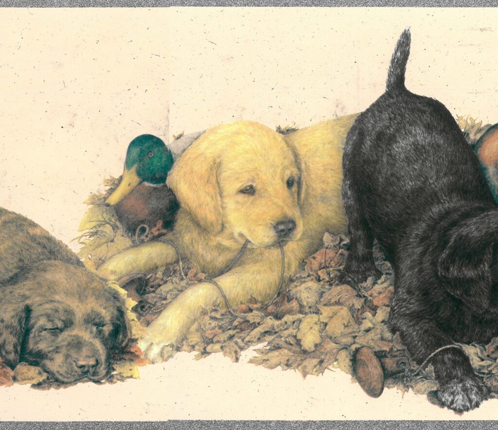 Prepasted Wallpaper Border – Animal Brown, Beige, Black, Yellow Dogs, Puppies, Ducks Wall Border Retro Design, 15 ft x 9 in (4.57m x 22.86cm)