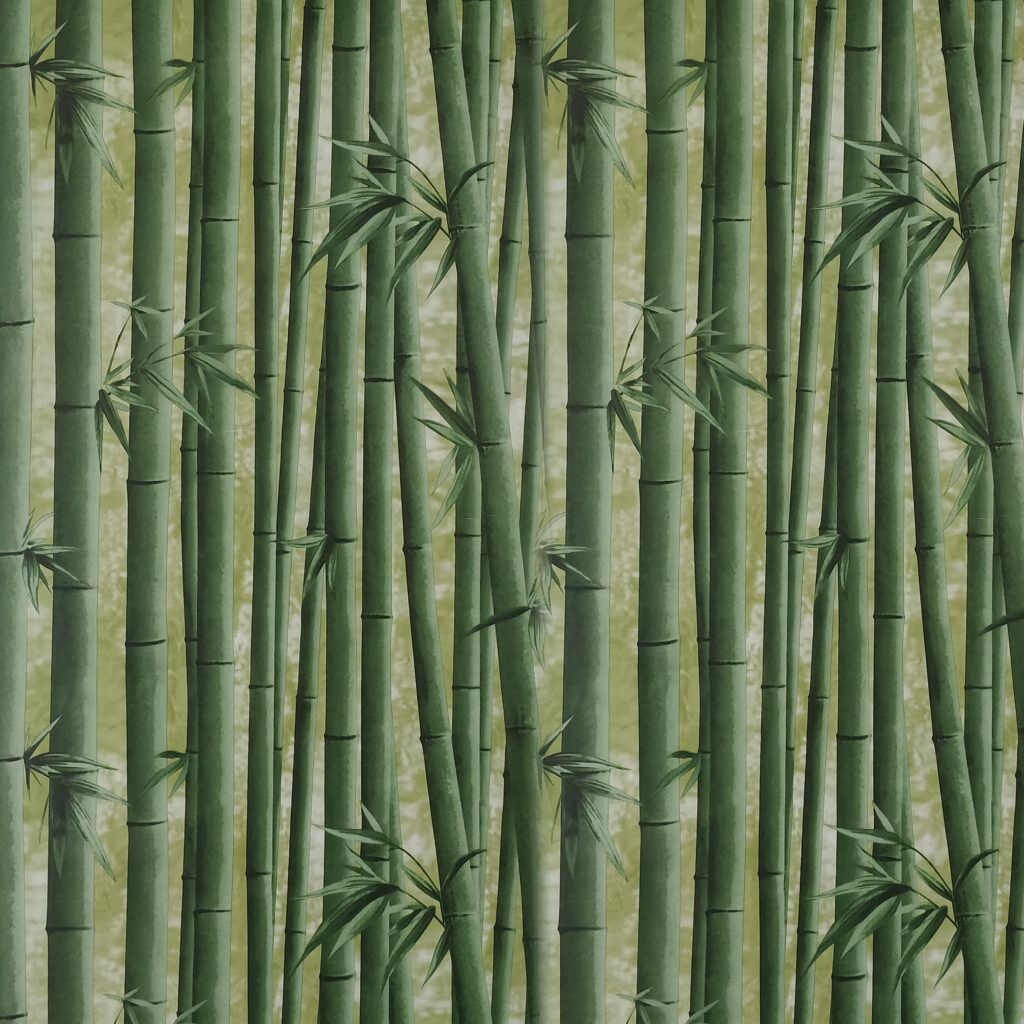 Floral Printed Green Bamboo Shoots Peel and Stick Self Adhesive Removable Wallpaper, Roll 18 ft. X 18 in. (5.5m X 45cm), 26.6 sq. ft. (2.5 sq. m)