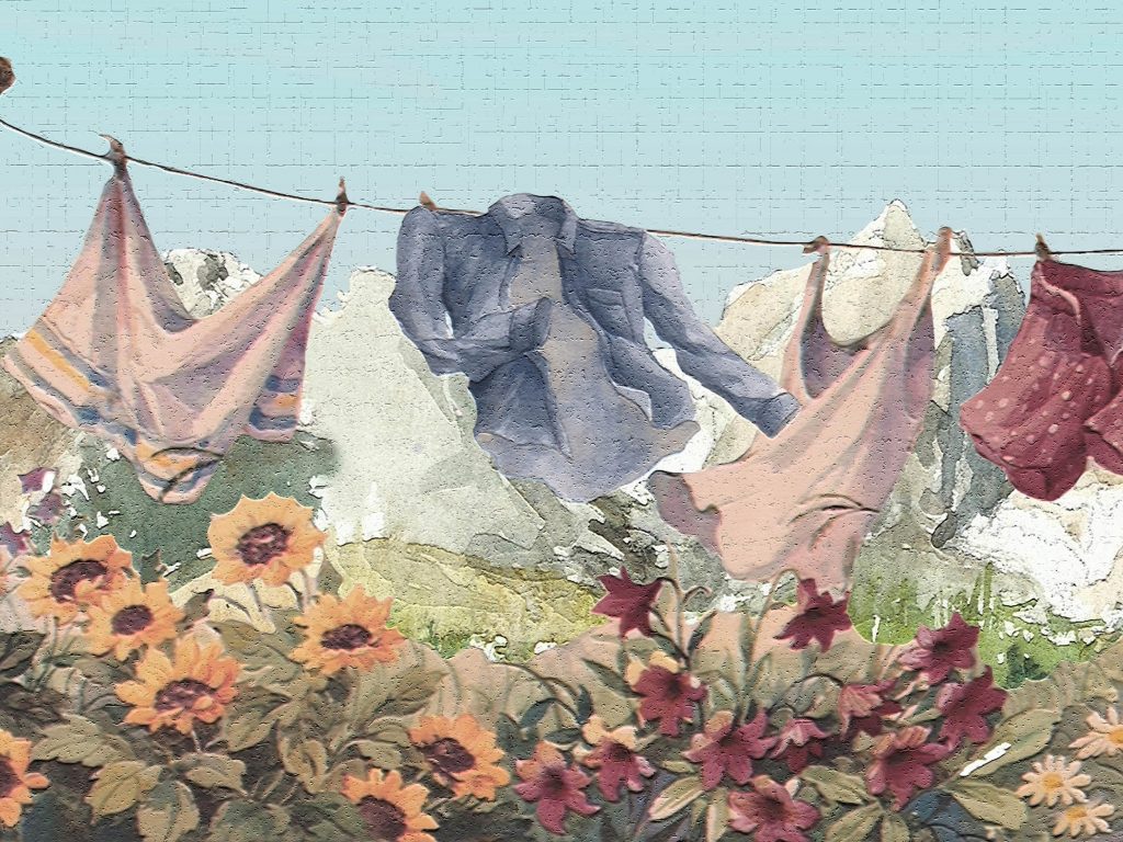 Country Blue Red Washing line Wall Border Retro Design