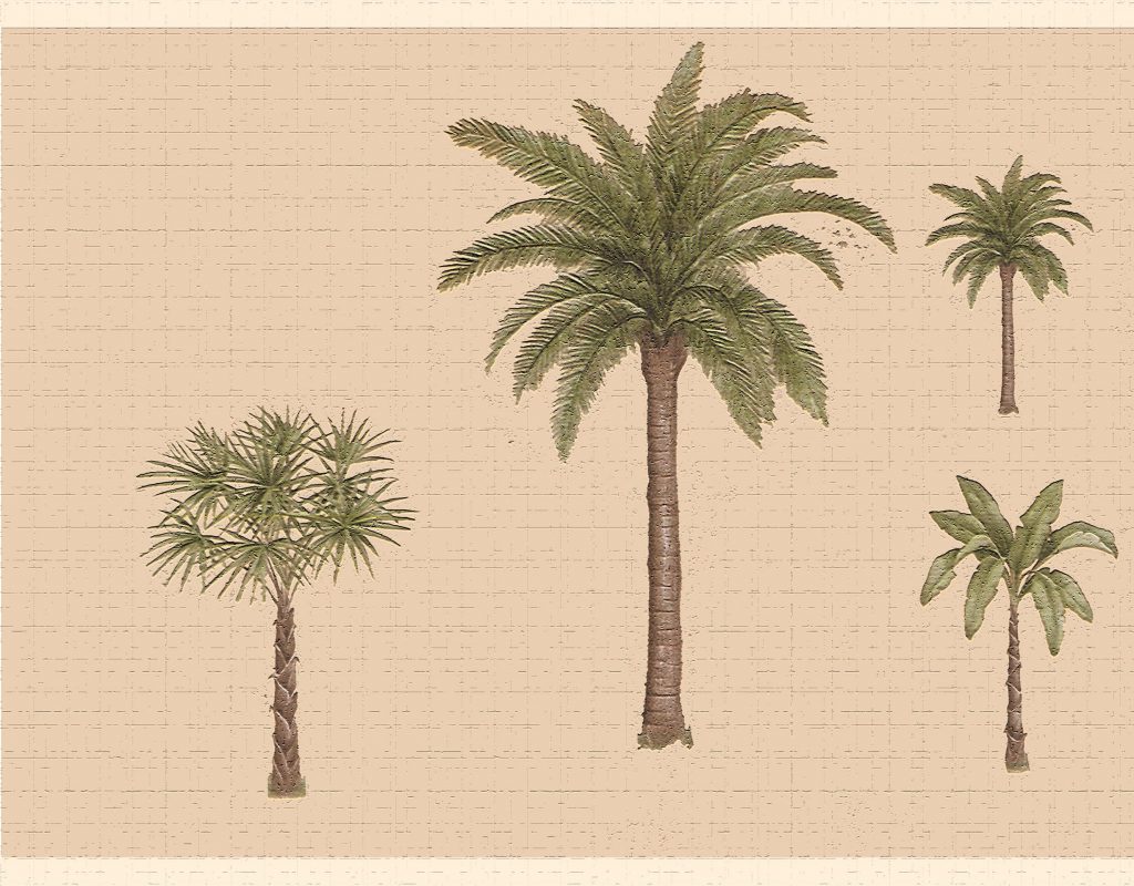 Nature Green Brown Palm Trees Wall Border Retro Design