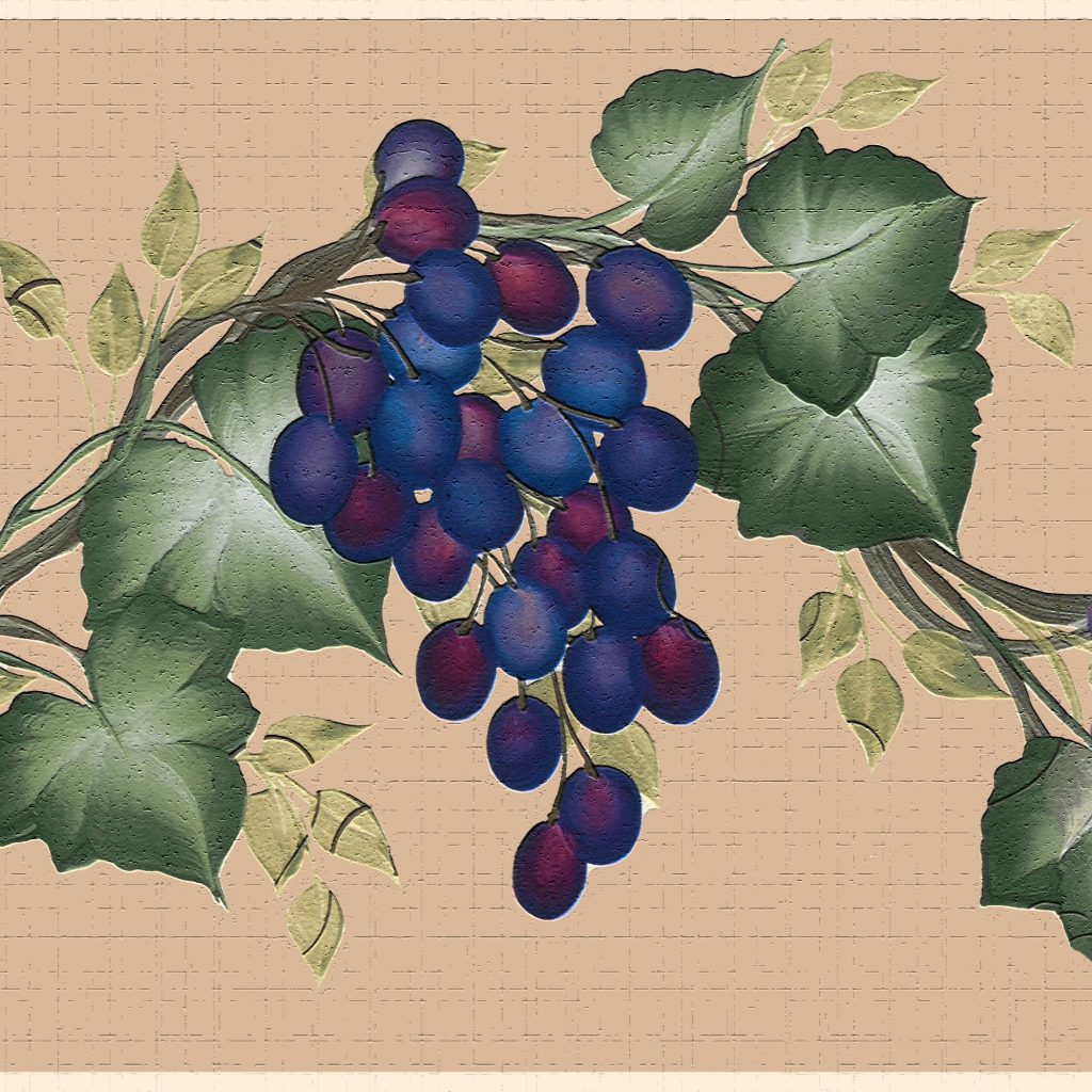 Nature Purple Green Grapes on Vine Wall Border Retro Design