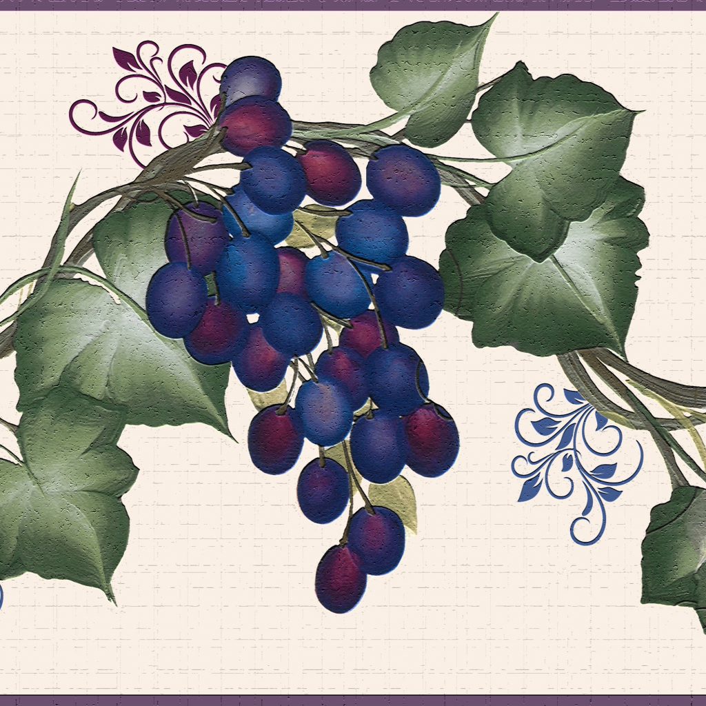 Floral Blue Purple Green Grapes on Vine Wall Border Retro Design